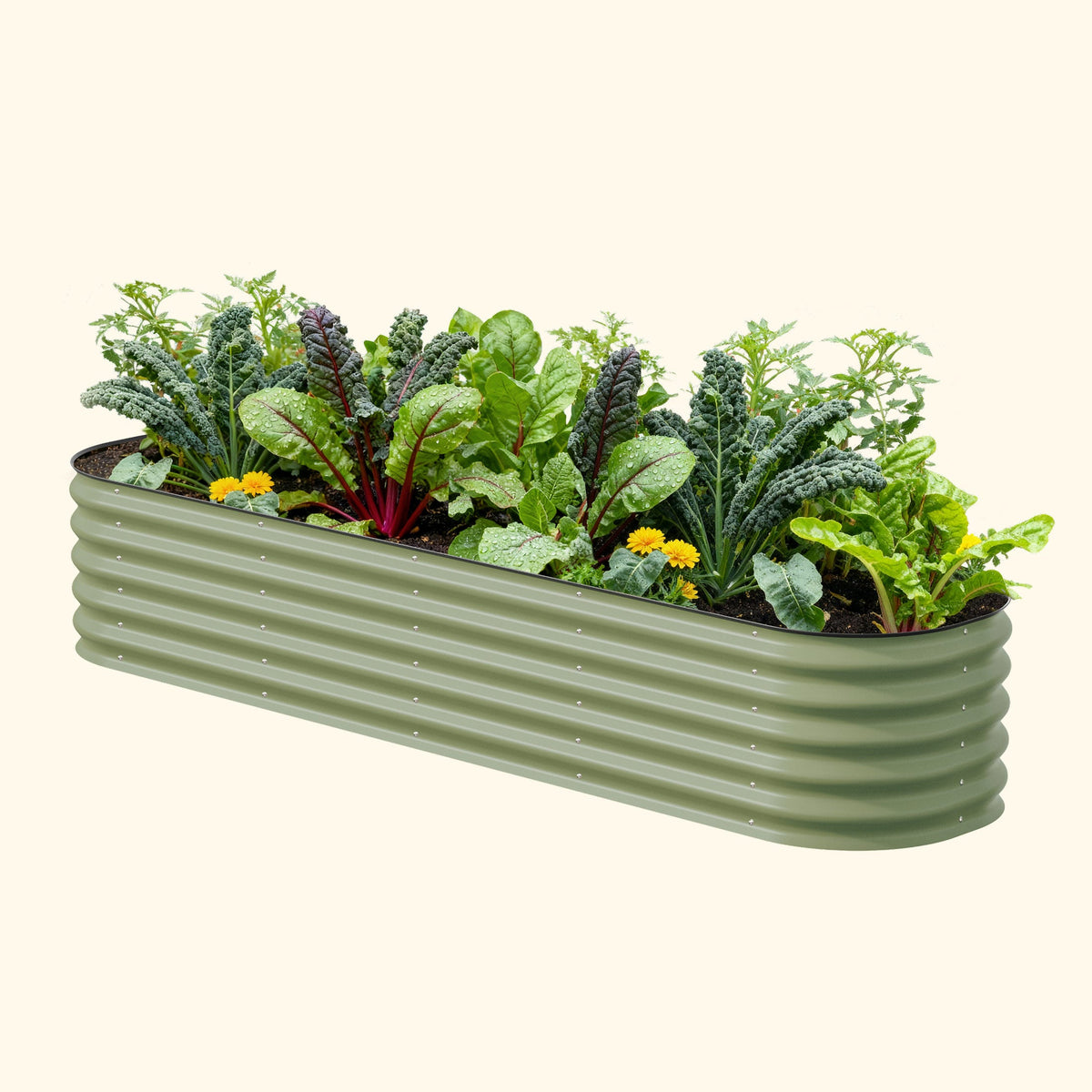 Premium Modular Garden Beds for Lasting Beauty