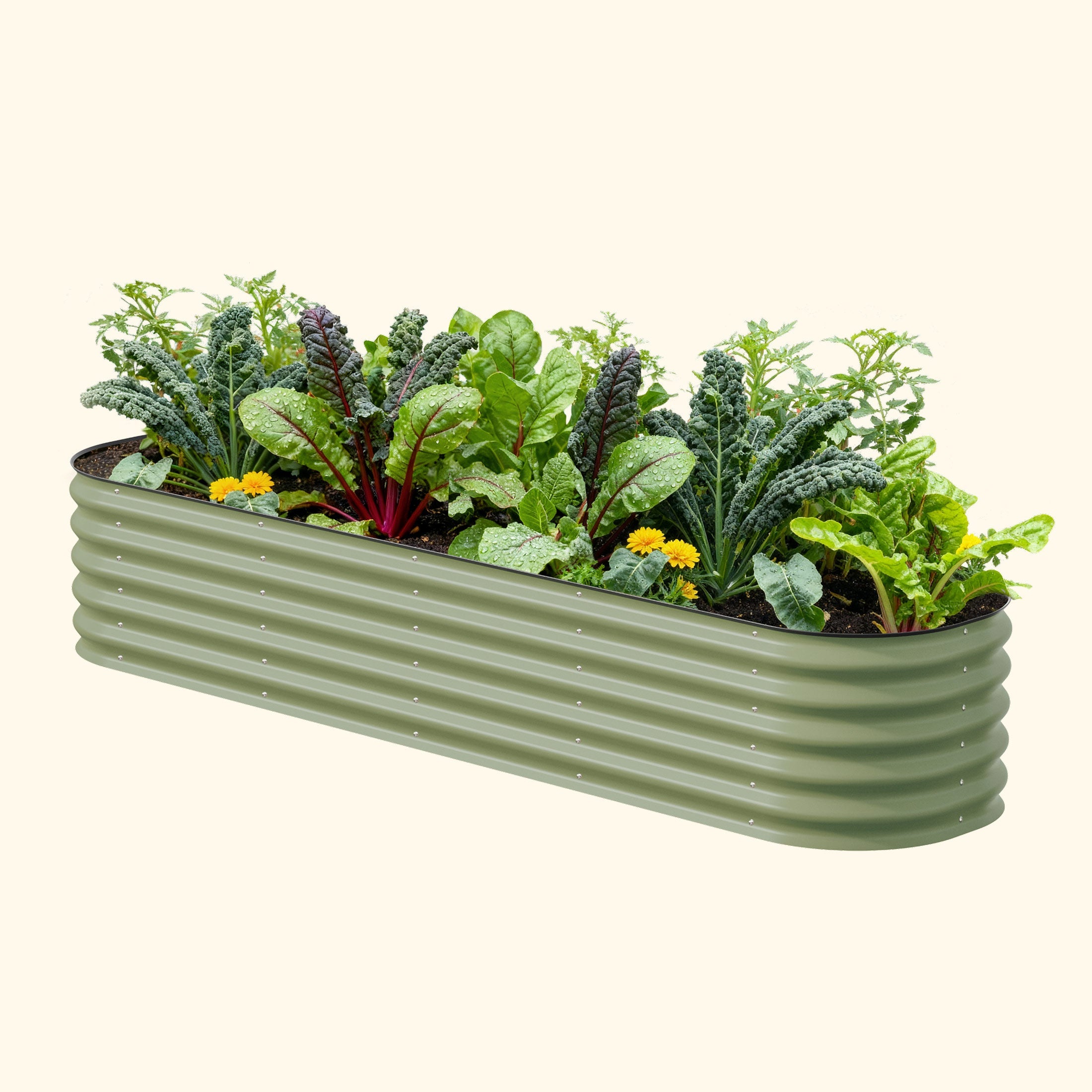 Premium Modular Garden Beds for Lasting Beauty